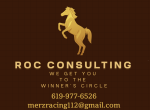 ROCConsulting - Racing Operations Consultants 